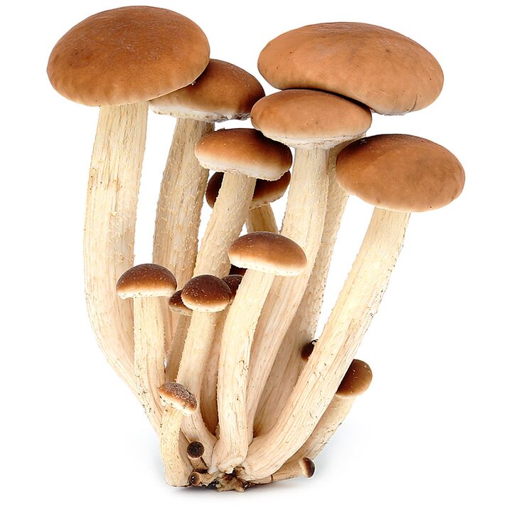 Jalgadele võib ilmneda seen